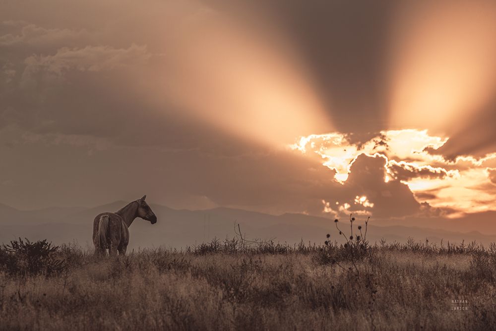 Faded Sunset art print by Nathan Larson for $57.95 CAD