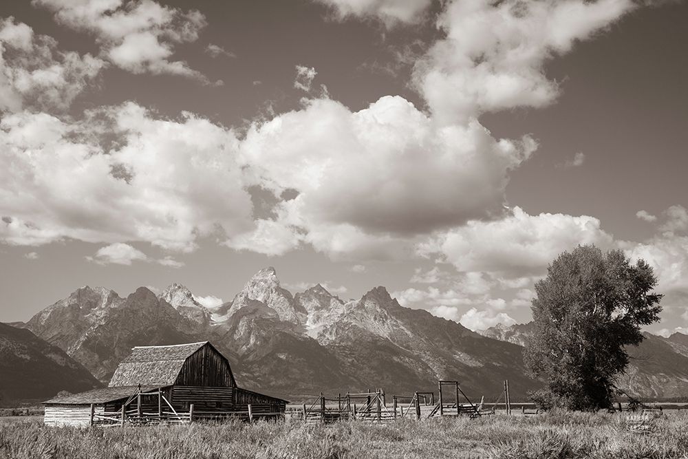Historic Row art print by Nathan Larson for $57.95 CAD