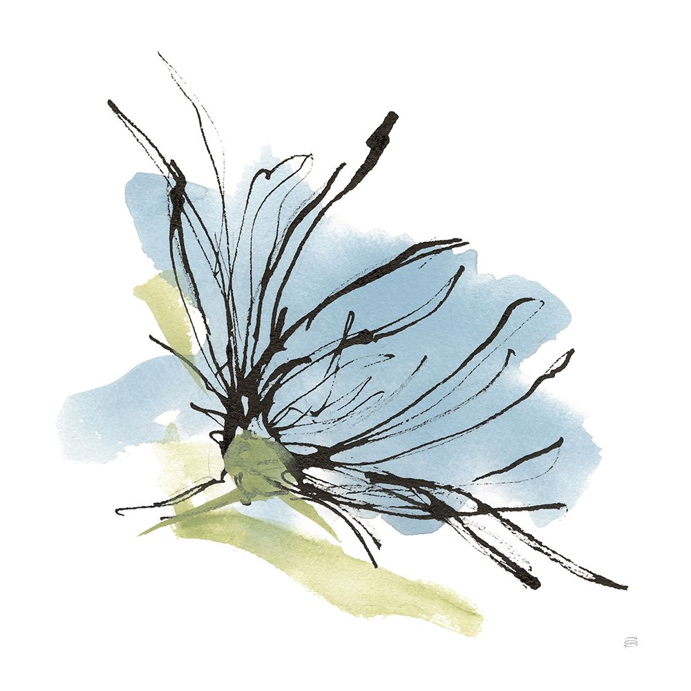 Spider Mum Blue I art print by Chris Paschke for $57.95 CAD