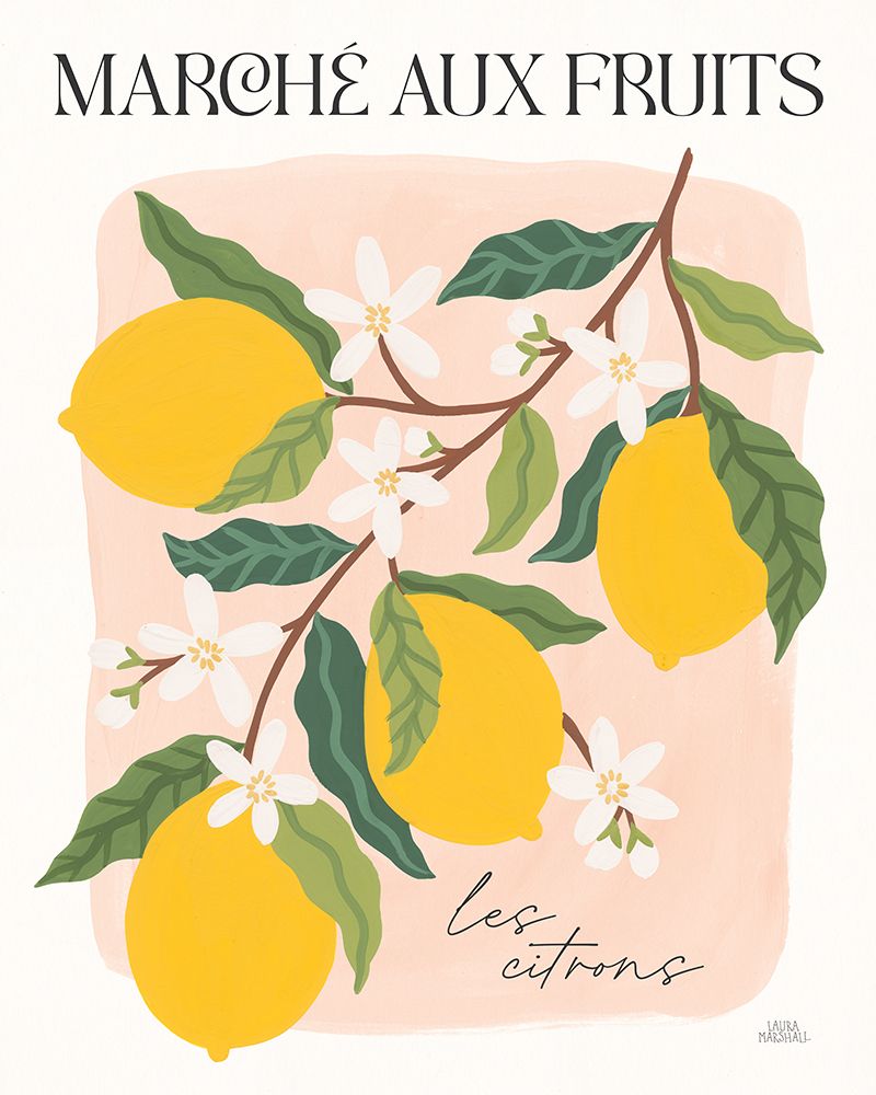 Marche aux Fruits II art print by Laura Marshall for $57.95 CAD