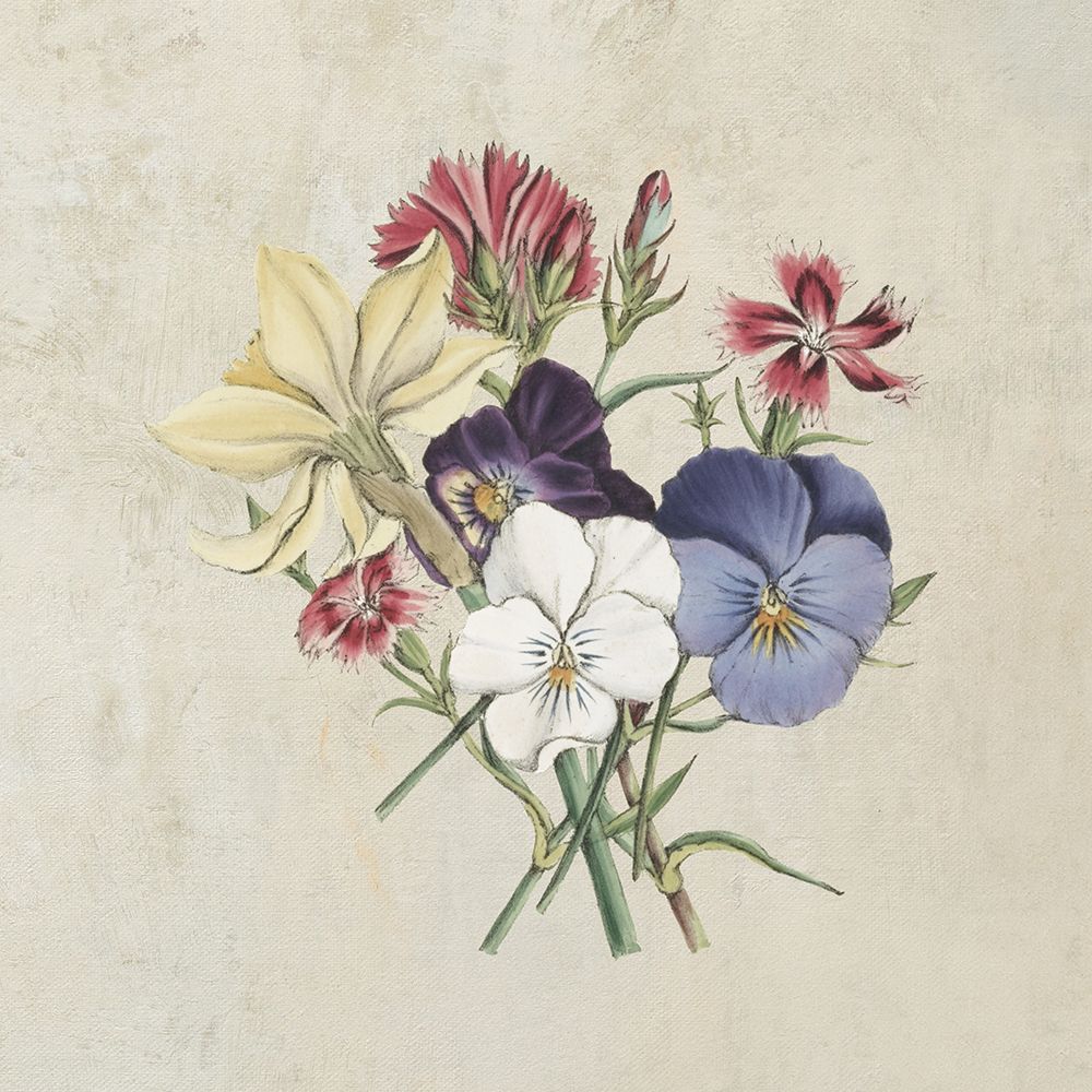 Pansy Party II Textured art print by Wild Apple Portfolio for $57.95 CAD