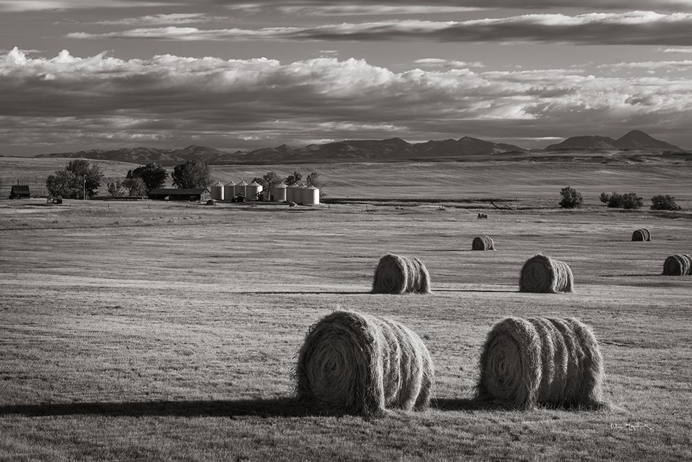 Montana Hay Bales art print by Alan Majchrowicz for $57.95 CAD