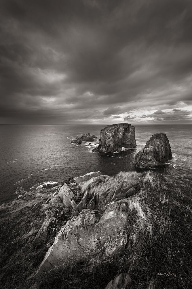 Bonavista Peninsula art print by Alan Majchrowicz for $57.95 CAD