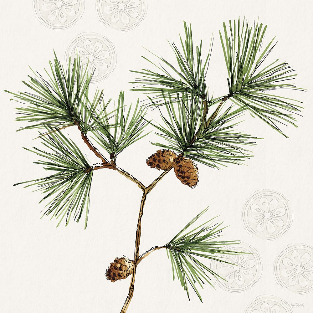 Winter Adornment II art print by Anne Tavoletti for $57.95 CAD