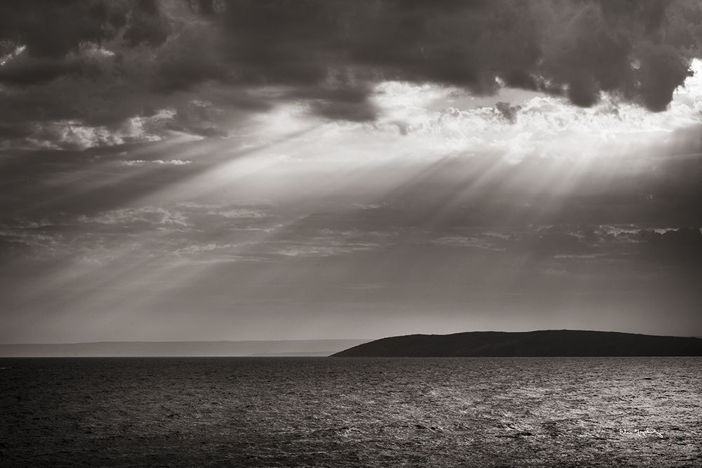 Portugal Cove art print by Alan Majchrowicz for $57.95 CAD
