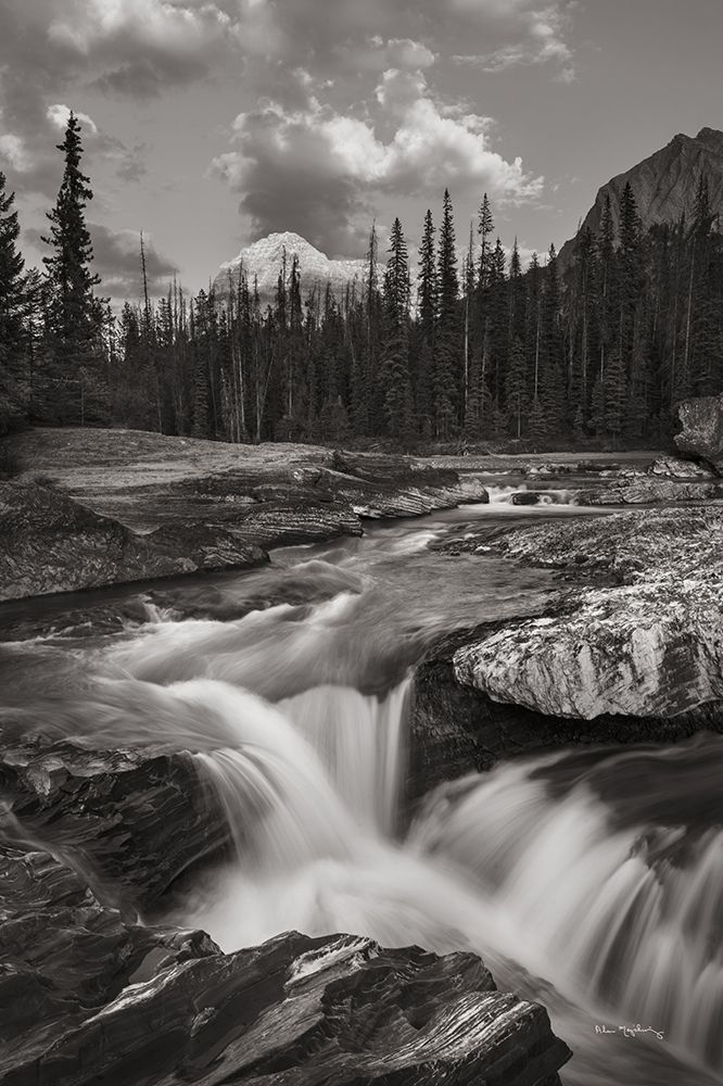 Kicking Horse River art print by Alan Majchrowicz for $57.95 CAD