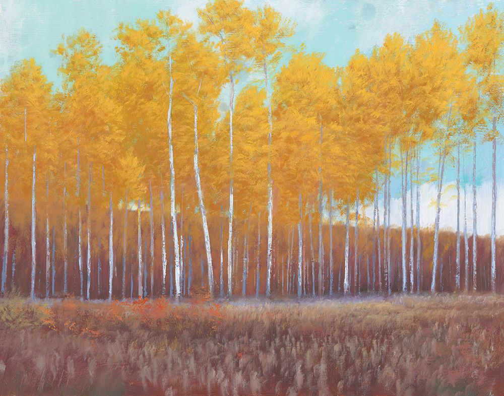 Golden Forest art print by Wellington Studio for $57.95 CAD