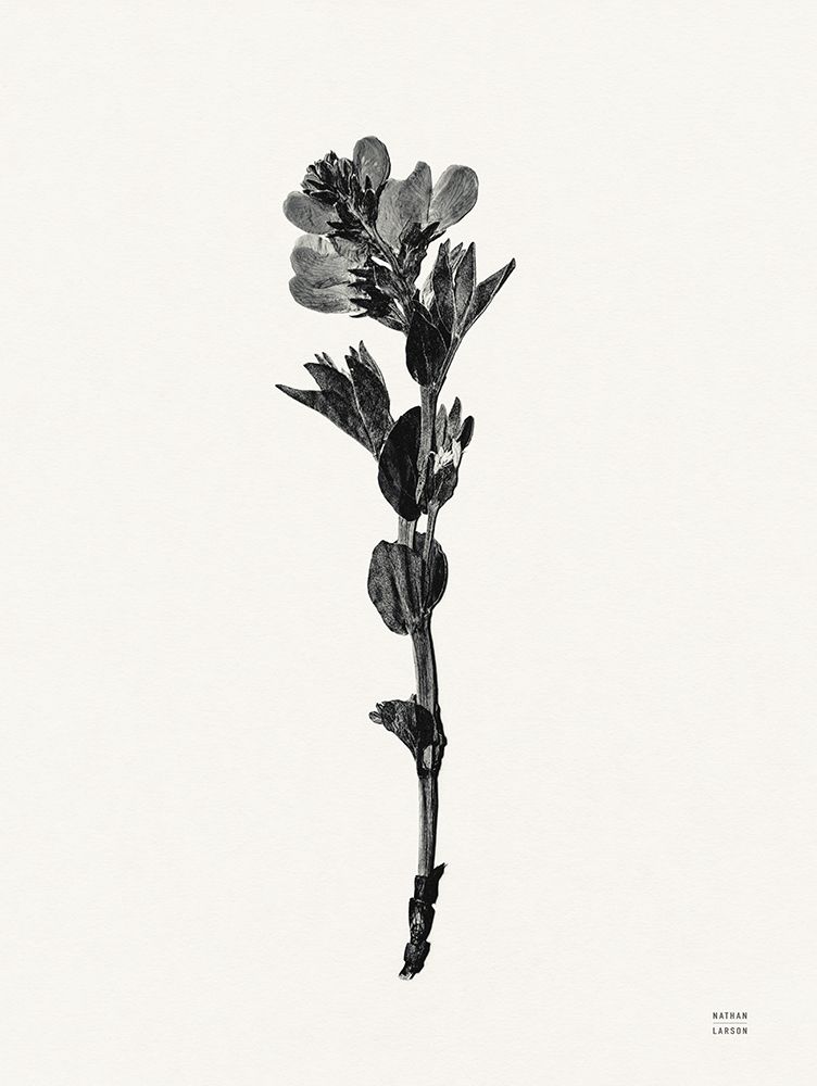 Field Journal Entry VI art print by Nathan Larson for $57.95 CAD