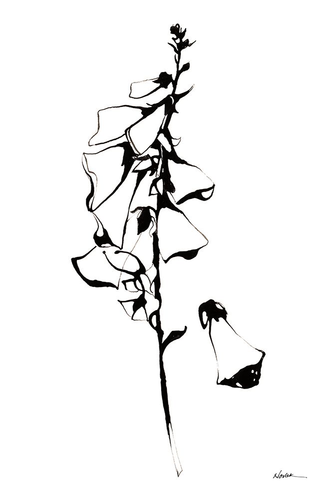 Ink Foxglove art print by Shirley Novak for $57.95 CAD
