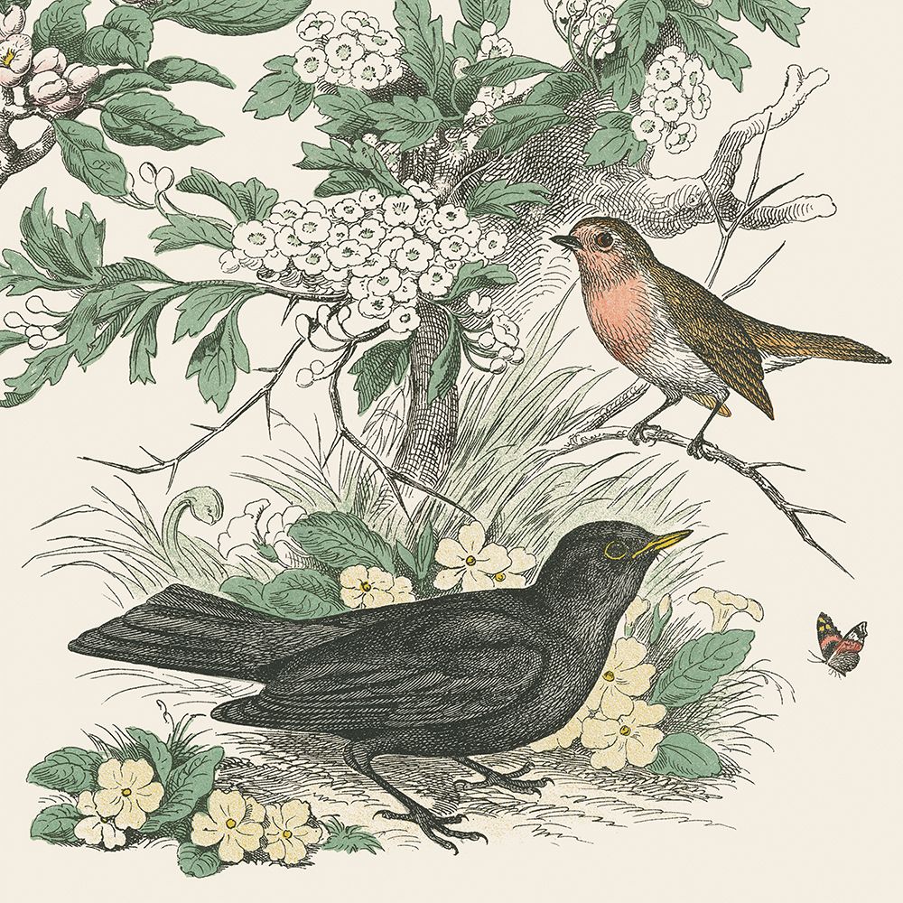 Honeybloom Bird V art print by Wild Apple Portfolio for $57.95 CAD