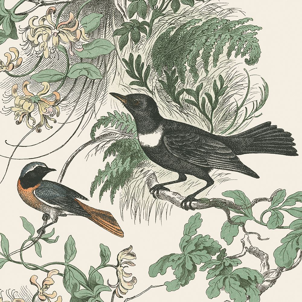 Honeybloom Bird VI art print by Wild Apple Portfolio for $57.95 CAD