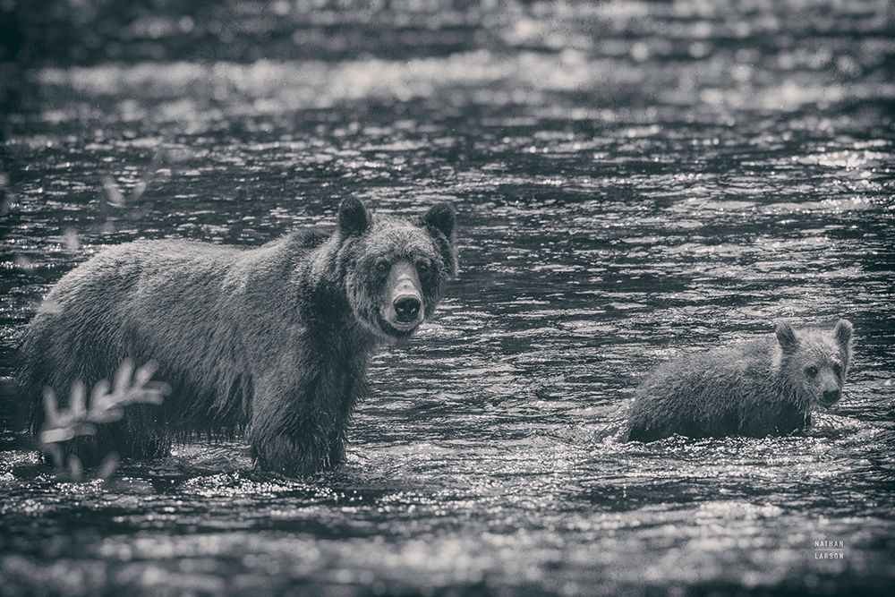 Crossing BW art print by Nathan Larson for $57.95 CAD