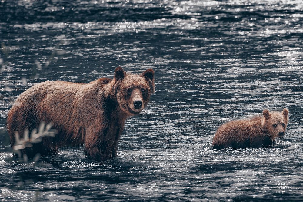Crossing Neutral art print by Nathan Larson for $57.95 CAD