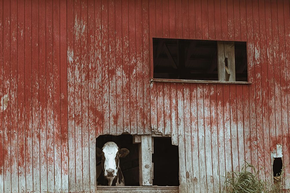 Hole in the Wall art print by Nathan Larson for $57.95 CAD