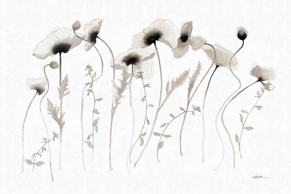 Coquelicots art print by Shirley Novak for $57.95 CAD