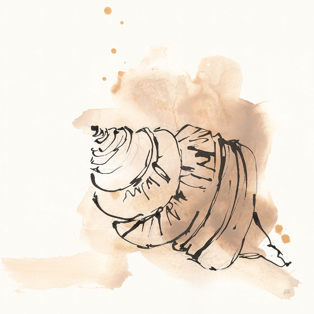 Sandy Conch I art print by Chris Paschke for $57.95 CAD