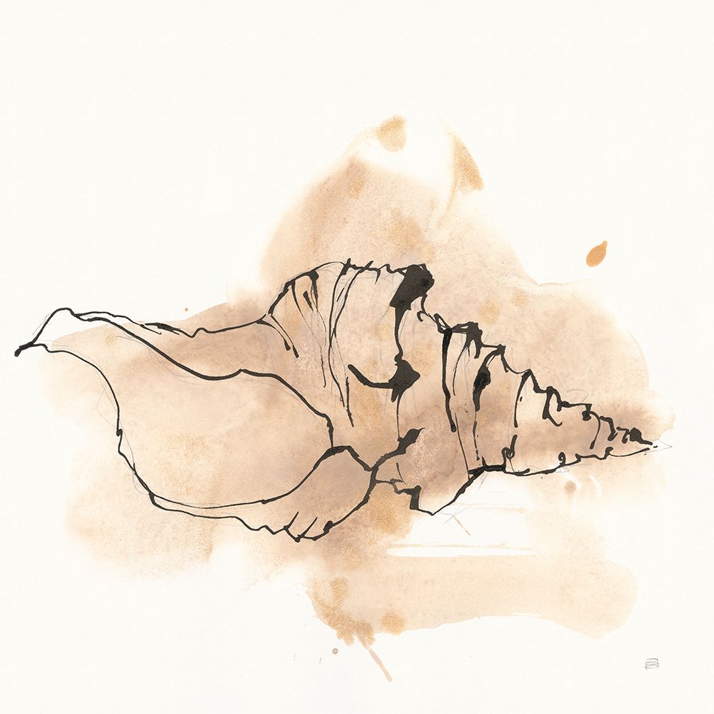 Sandy Conch III art print by Chris Paschke for $57.95 CAD