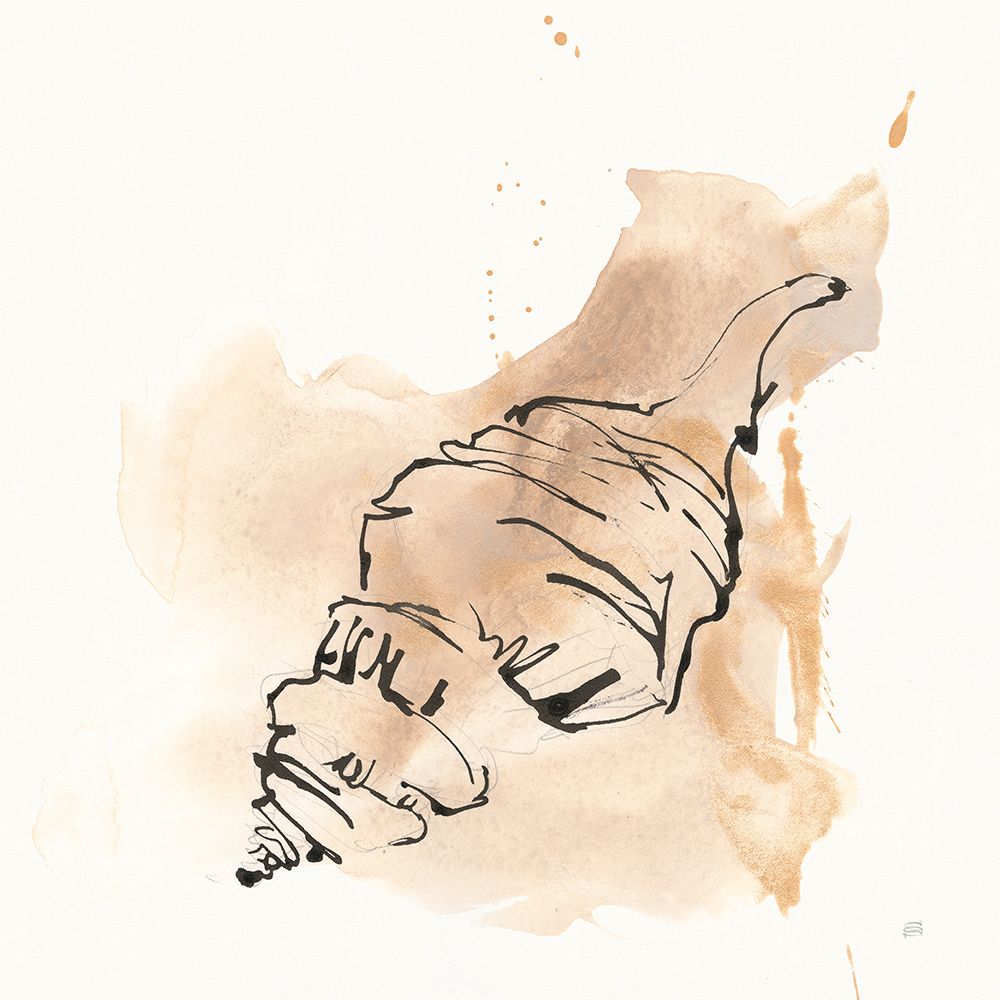 Sandy Conch IV art print by Chris Paschke for $57.95 CAD