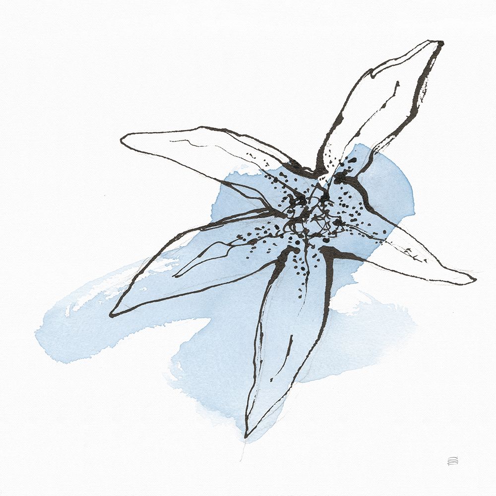 Minimal Starfish II art print by Chris Paschke for $57.95 CAD