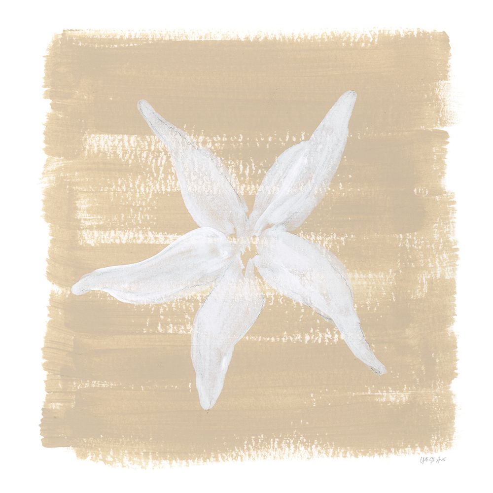 Soft Sea Starfish art print by Yvette St. Amant for $57.95 CAD