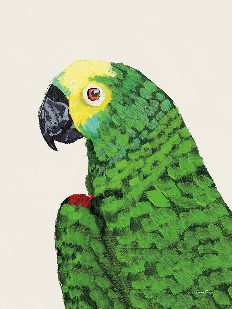Parrot Head Light art print by Pamela Munger for $57.95 CAD