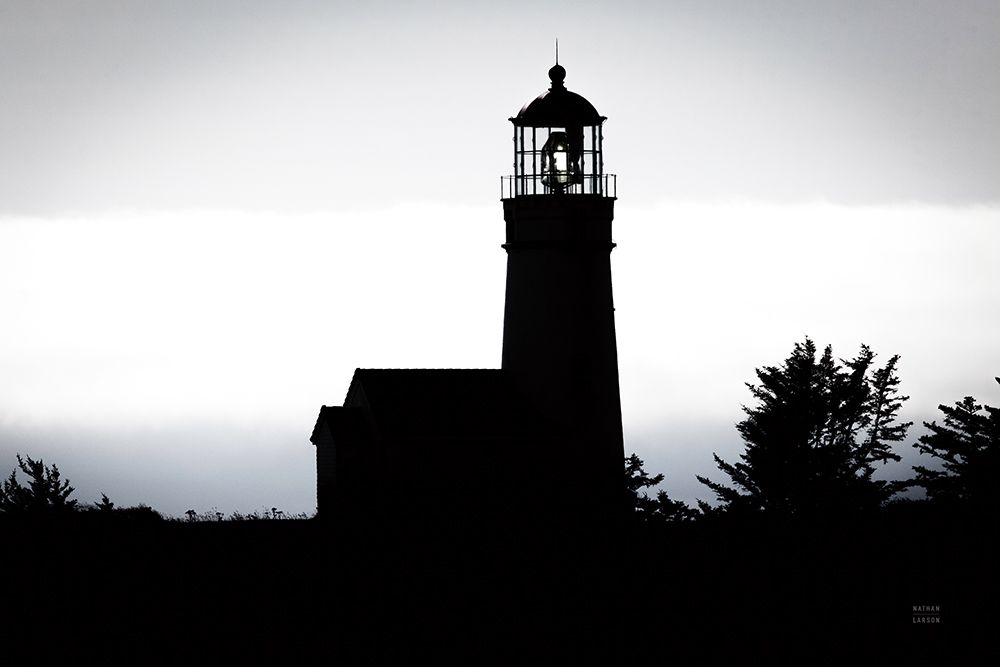 Lighthouse Forest art print by Nathan Larson for $57.95 CAD