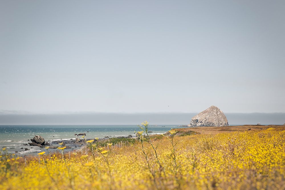 Rocky Coast Days art print by Nathan Larson for $57.95 CAD