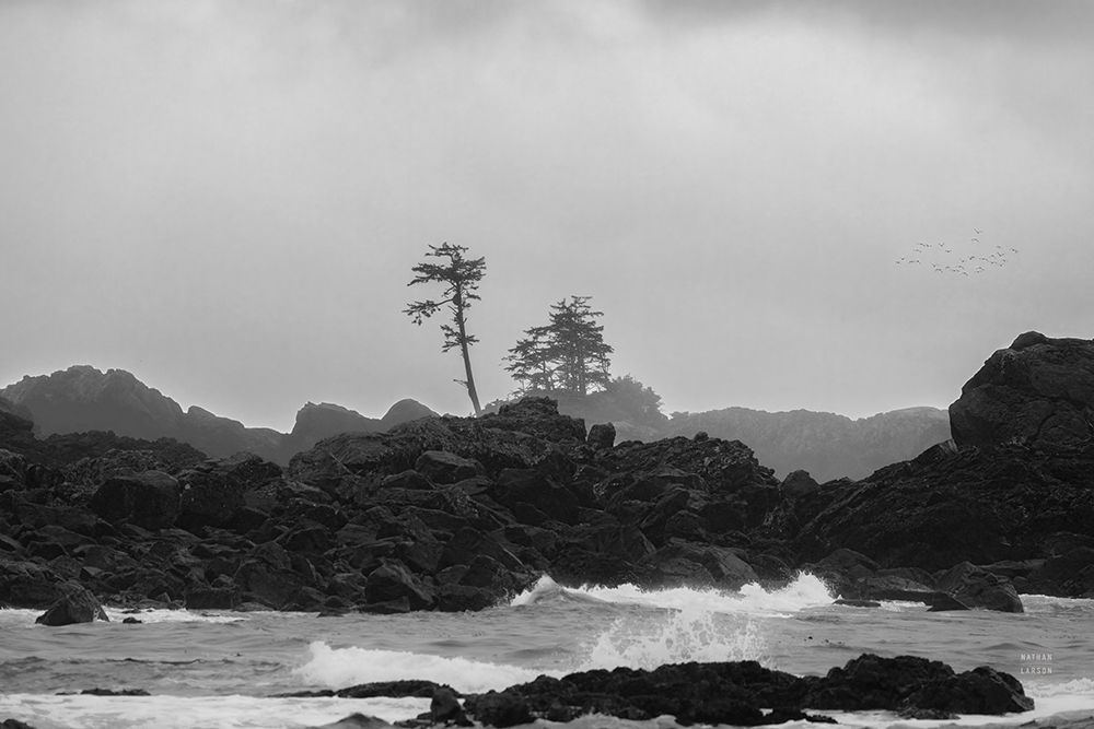 Black Rock Coast I art print by Nathan Larson for $57.95 CAD