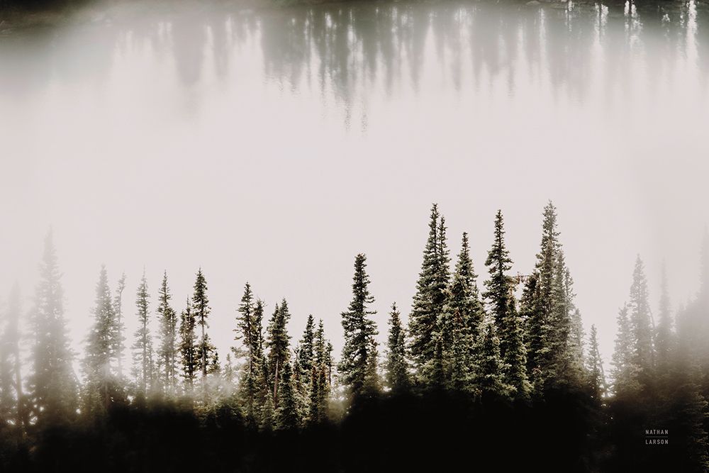 Waterwood art print by Nathan Larson for $57.95 CAD
