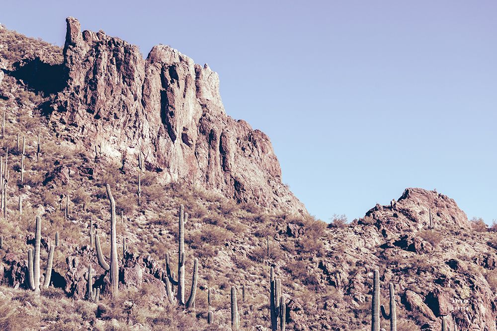 Arizona Dreams art print by Nathan Larson for $57.95 CAD