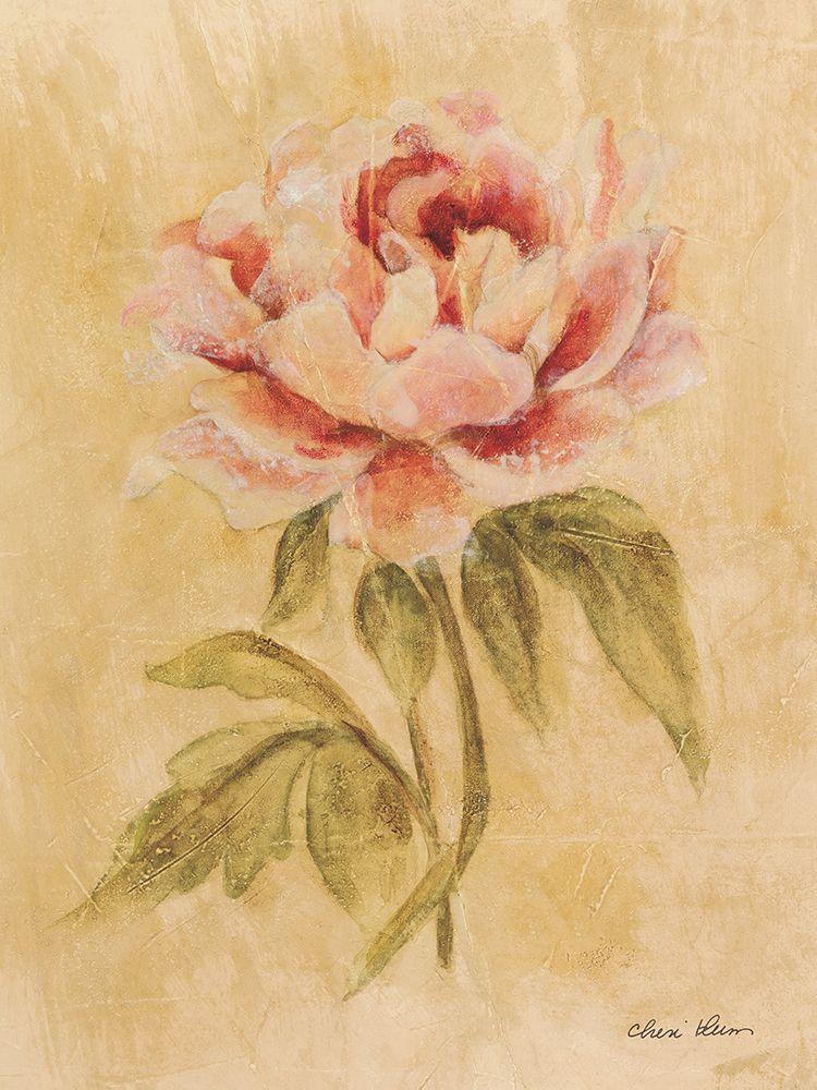 Peony I art print by Cheri Blum for $57.95 CAD