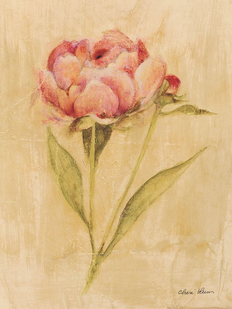 Peony II art print by Cheri Blum for $57.95 CAD