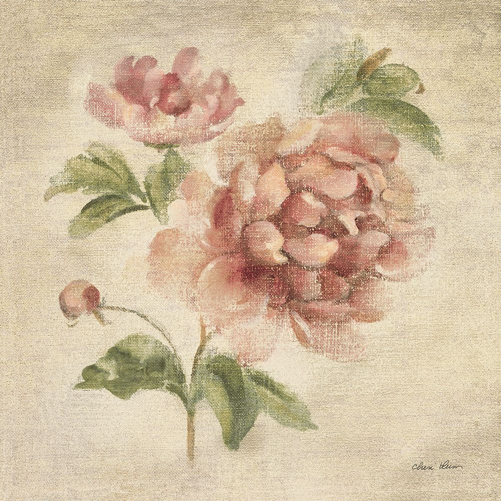 Coral Rose on Antique Linen Light art print by Cheri Blum for $57.95 CAD