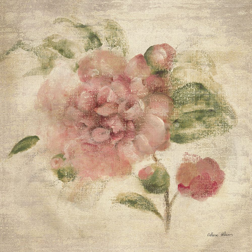 Dusty Pink Rose on Antique Linen Light art print by Cheri Blum for $57.95 CAD
