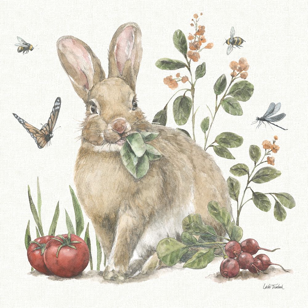 Garden Patch IV art print by Leslie Trimbach for $57.95 CAD
