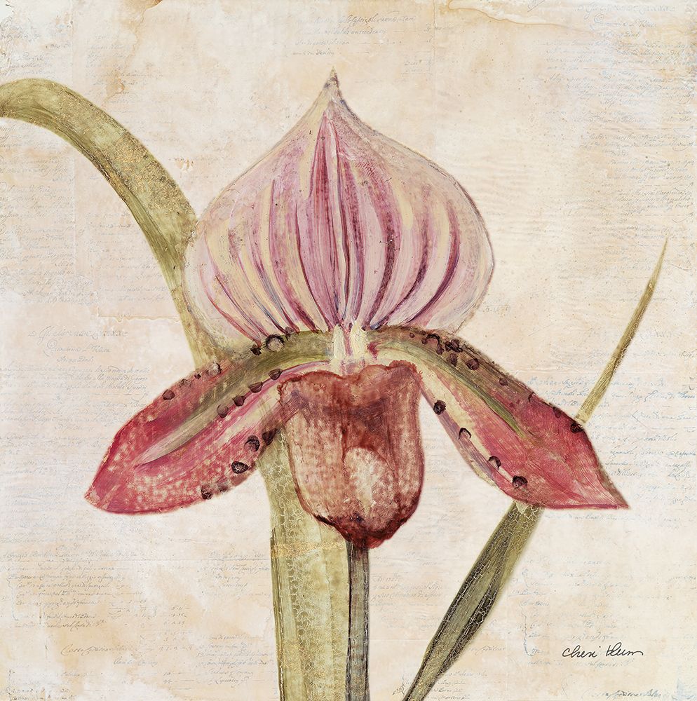 Orchid III art print by Cheri Blum for $57.95 CAD