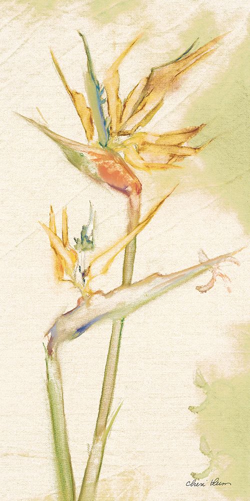 Tropical Floral II Light art print by Cheri Blum for $57.95 CAD