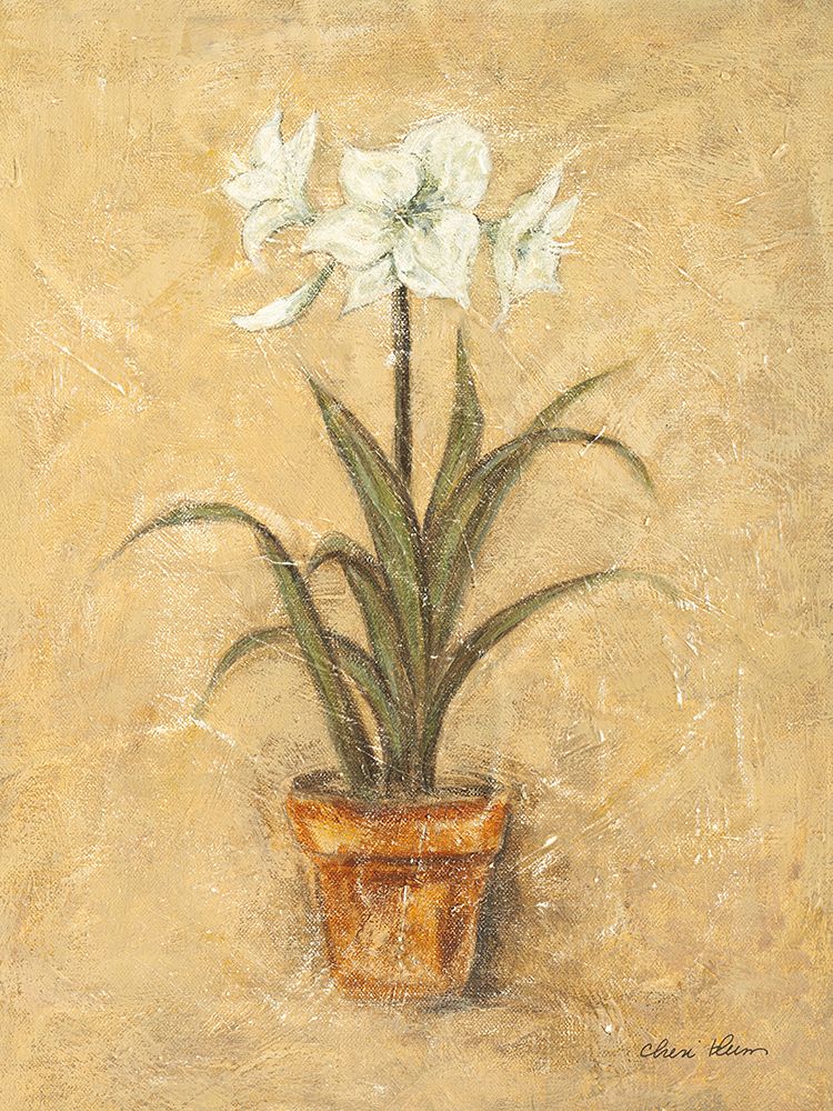 White Amaryllis II art print by Cheri Blum for $57.95 CAD