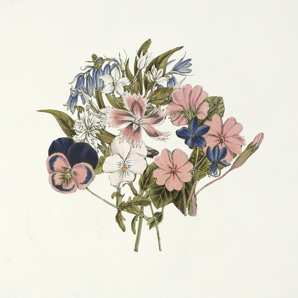 Pansy Party I Honeybloom art print by Wild Apple Portfolio for $57.95 CAD