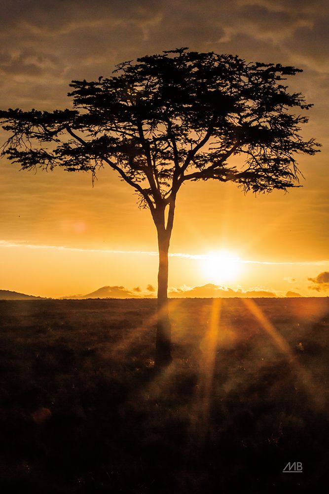 African Sunrise art print by Max Blakesberg Studios for $57.95 CAD