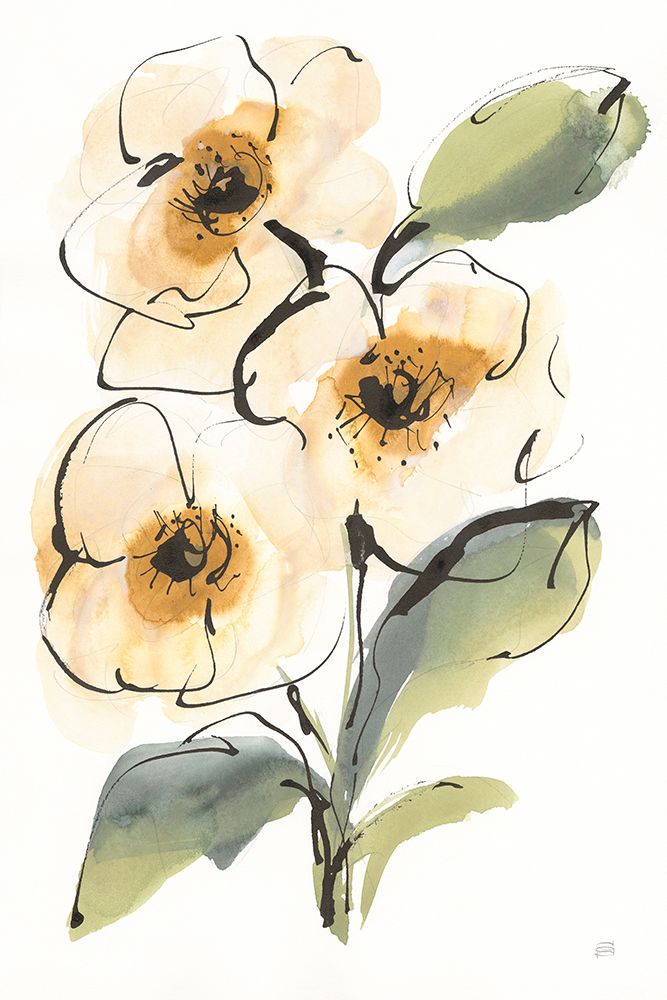 Smooth Poppy II art print by Chris Paschke for $57.95 CAD
