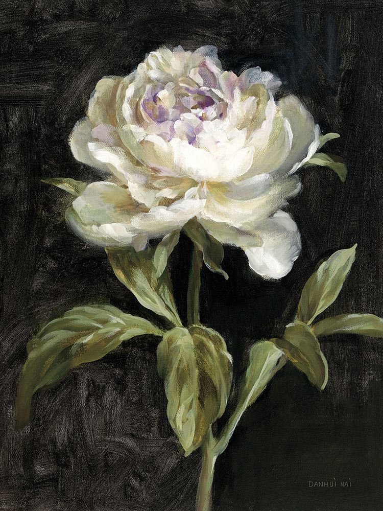 Peony on Black art print by Danhui Nai for $57.95 CAD