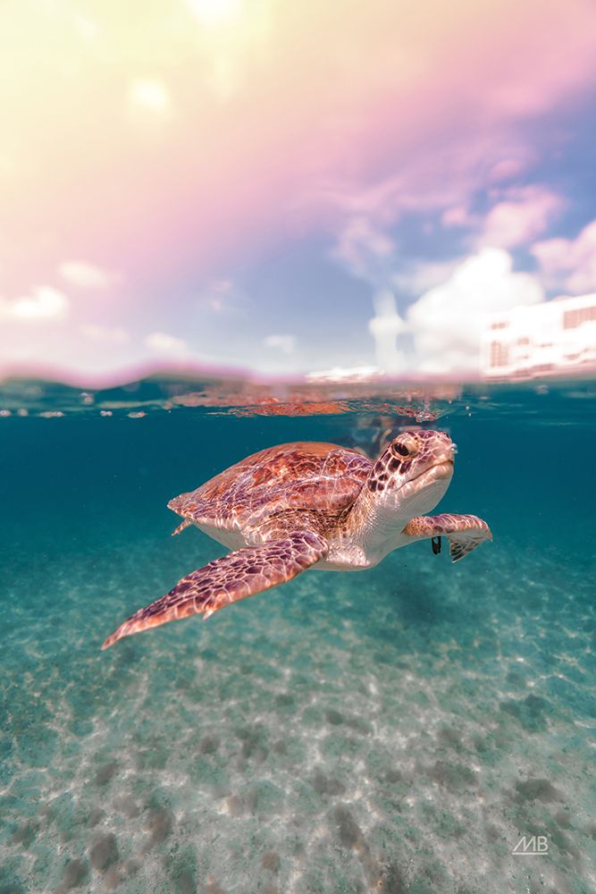 Above and Below art print by Max Blakesberg Studios for $57.95 CAD