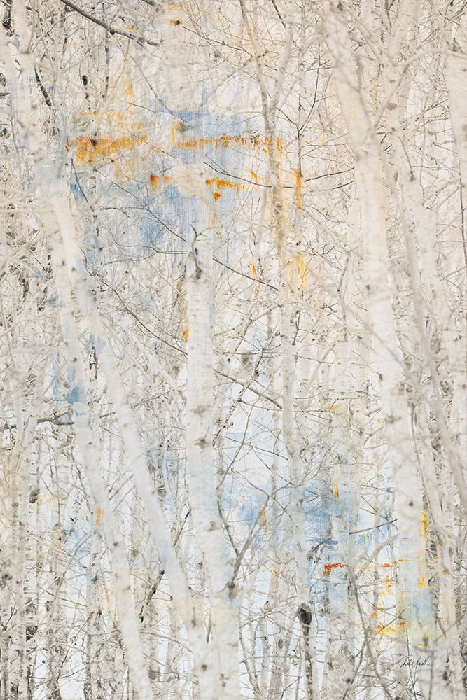 The Woods I art print by Deborah Revell for $57.95 CAD