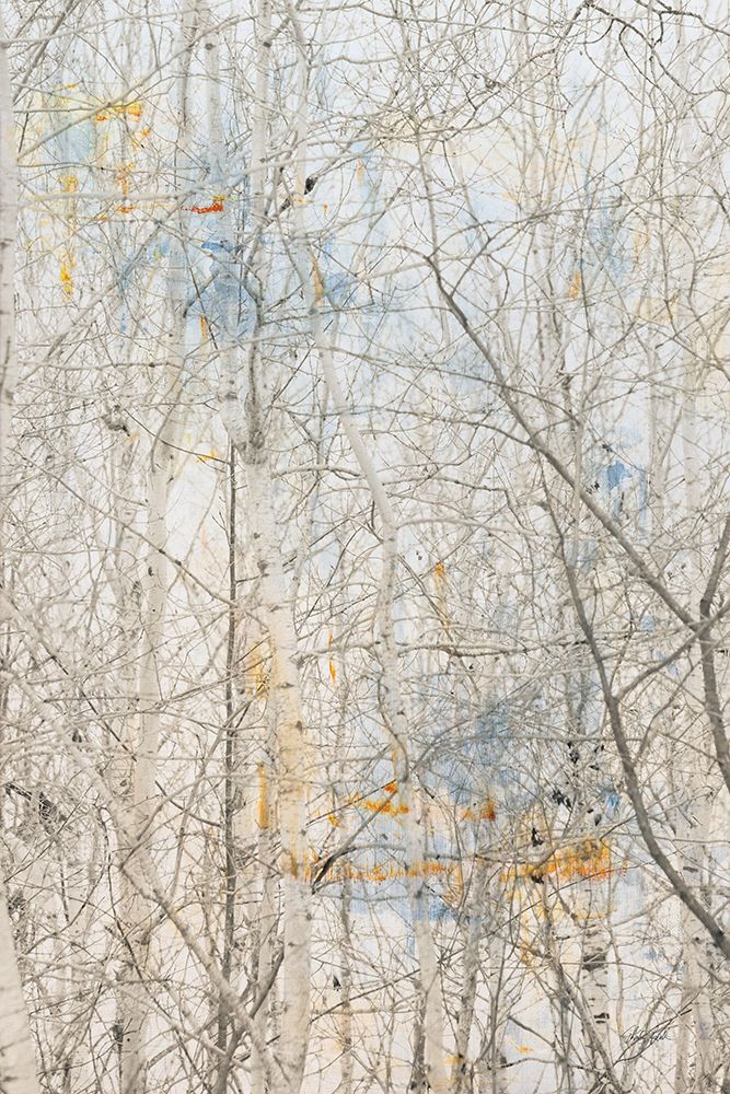 The Woods II art print by Deborah Revell for $57.95 CAD