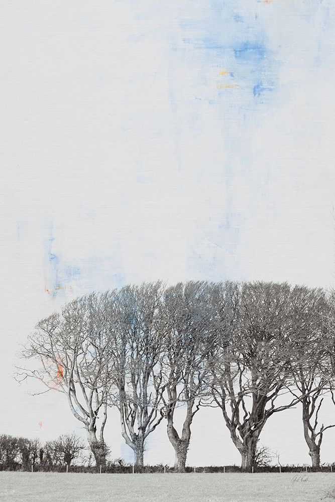 Row of Trees art print by Deborah Revell for $57.95 CAD