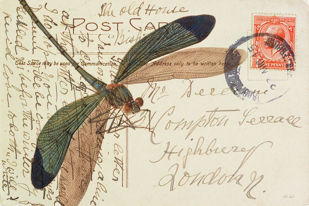 Dragonfly Postcard I art print by Deborah Revell for $57.95 CAD