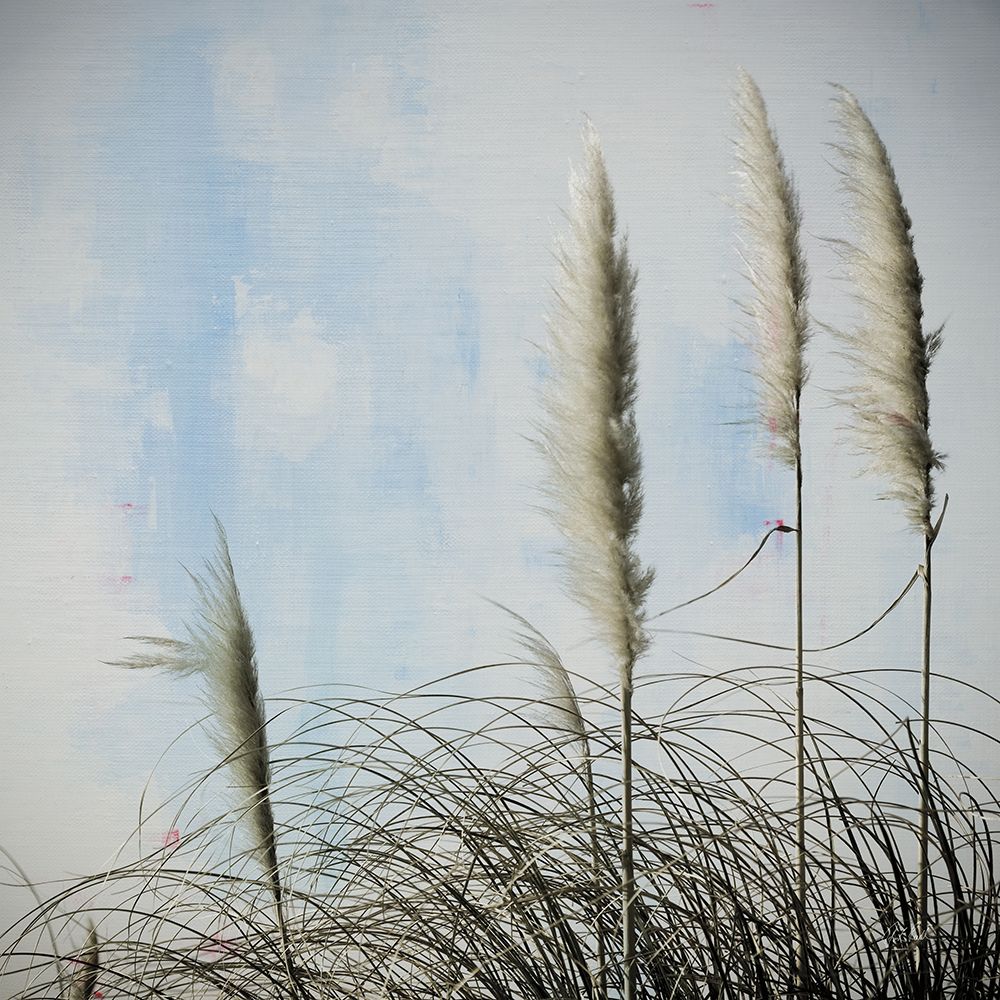 Rushes I art print by Deborah Revell for $57.95 CAD