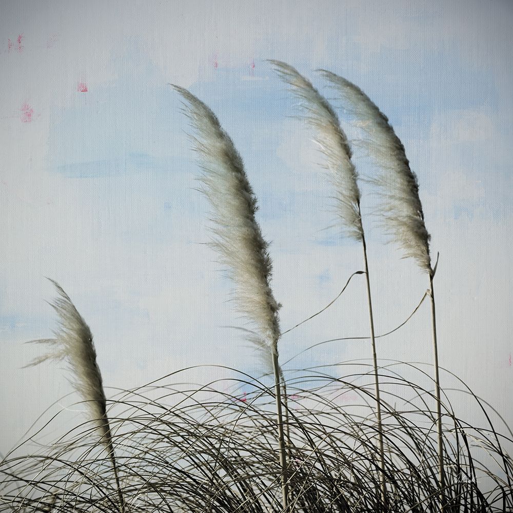 Rushes II art print by Deborah Revell for $57.95 CAD