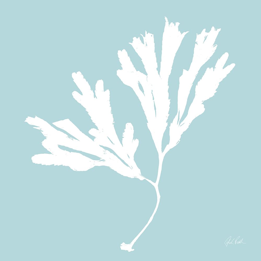 Seaweed I art print by Deborah Revell for $57.95 CAD